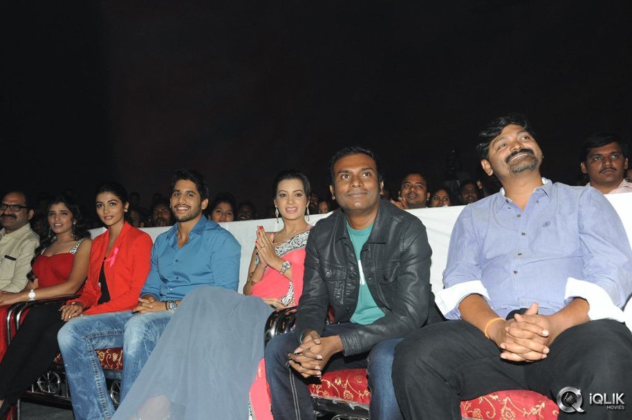 Oka-Laila-Kosam-Movie-Audio-Success-Function